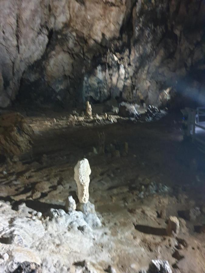 Vila Dionysos Brasov Ghimbav Dış mekan fotoğraf