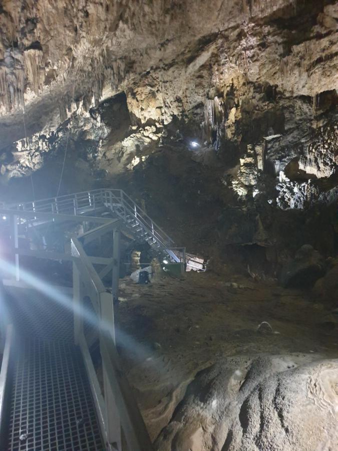 Vila Dionysos Brasov Ghimbav Dış mekan fotoğraf