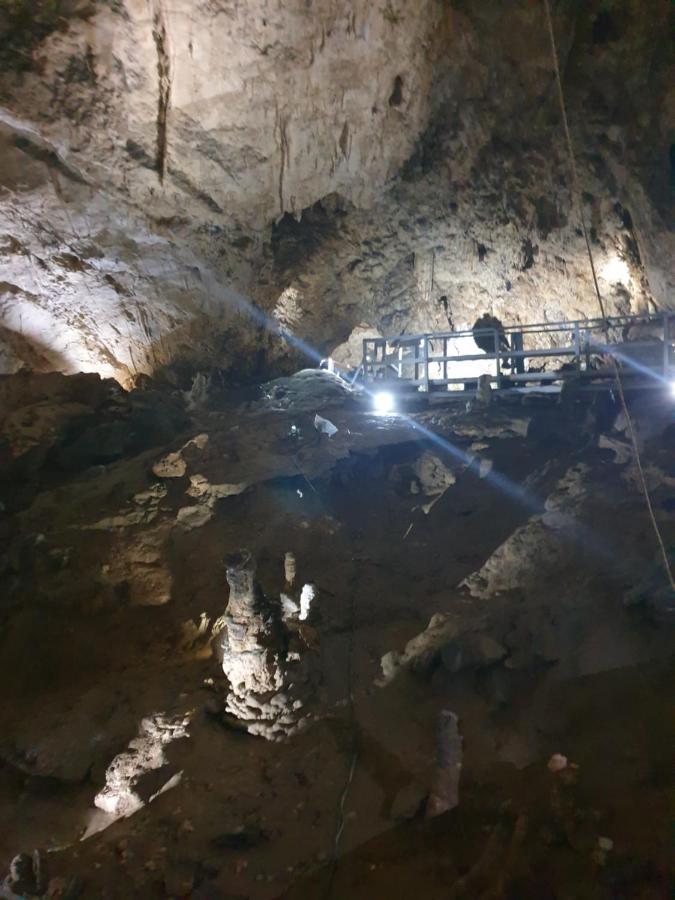 Vila Dionysos Brasov Ghimbav Dış mekan fotoğraf