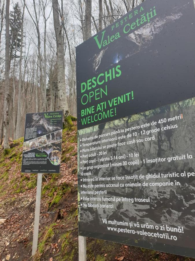 Vila Dionysos Brasov Ghimbav Dış mekan fotoğraf