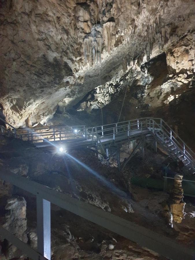 Vila Dionysos Brasov Ghimbav Dış mekan fotoğraf